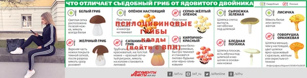 прущие крисы Богородицк