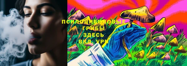 Альфа ПВП Богородск