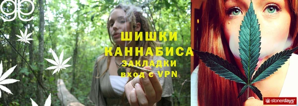 Альфа ПВП Богородск