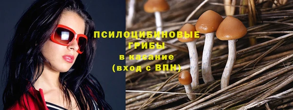 дмт Беломорск