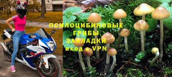 Альфа ПВП Богородск